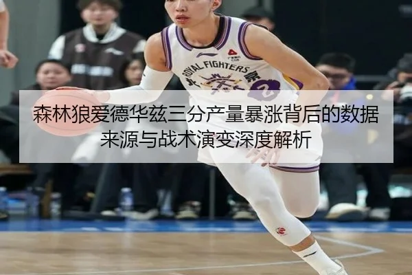 森林狼爱德华兹三分产量暴涨背后的数据来源与战术演变深度解析